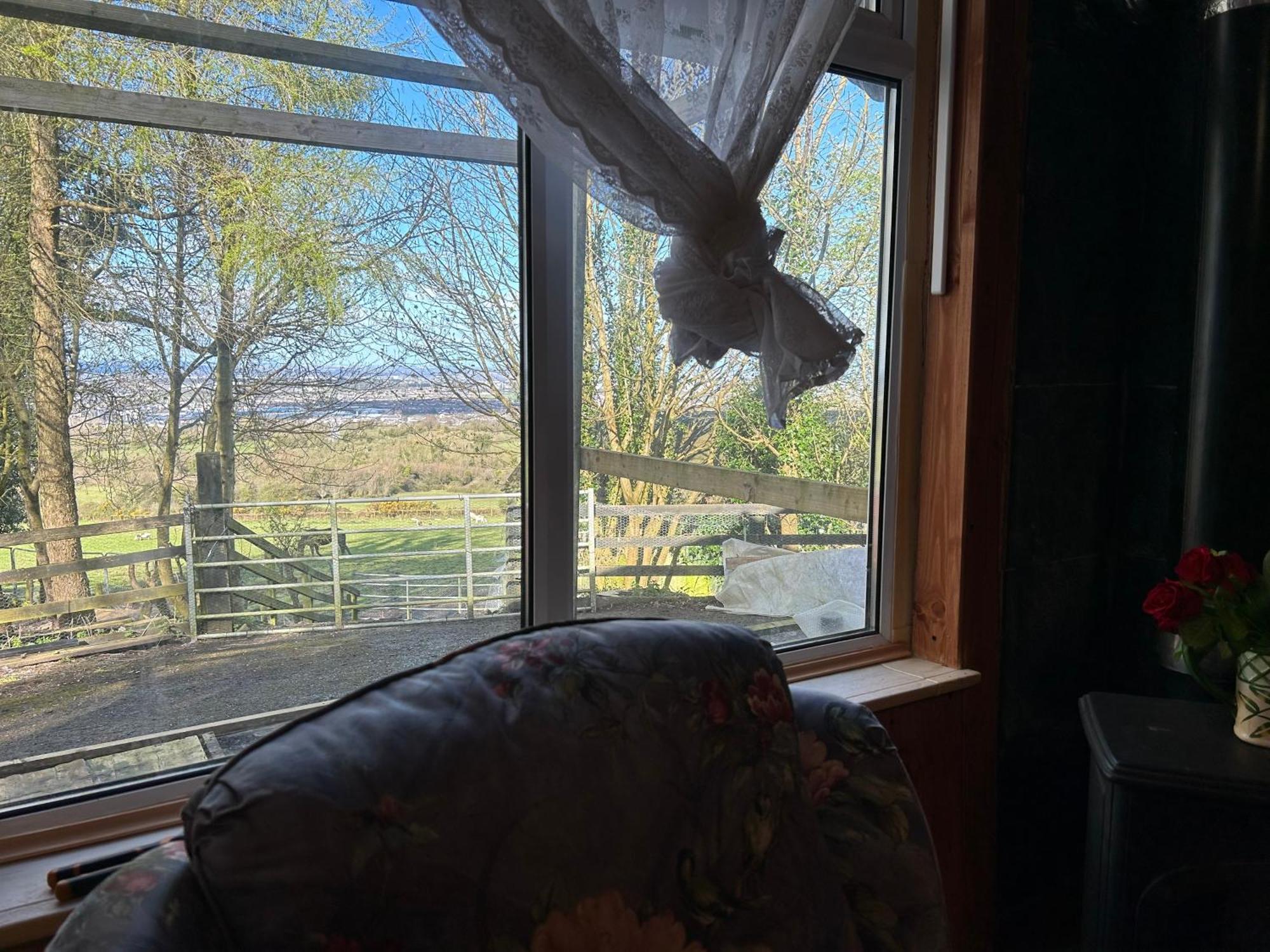 Cozy Room In A Barn With Farm View - Dublin — Photos 3
